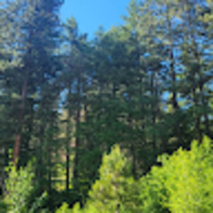 Meet your Posher, Kyia